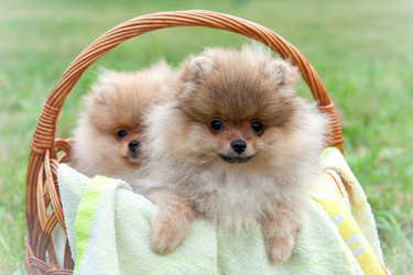 Similar image 8941214