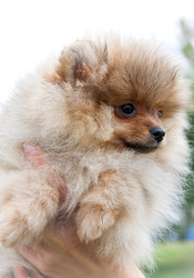 Similar image 8941216