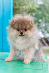 Similar image 8941217