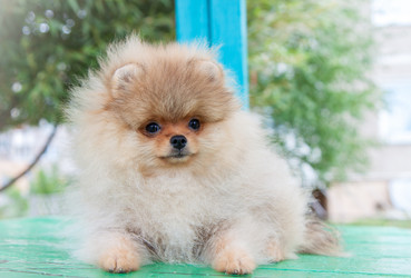 Similar image 8941223