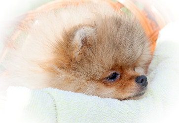 Similar image 8941225