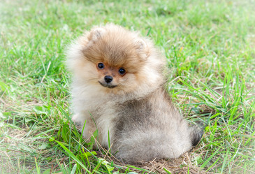 Similar image 8941227