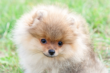 Similar image 8941229