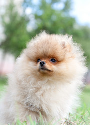 Similar image 8941232