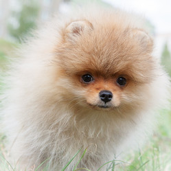 Similar image 8941234