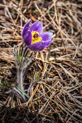 Similar image 8942187