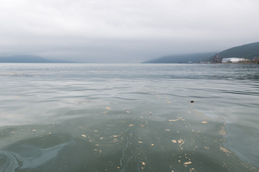 Similar image 8942194