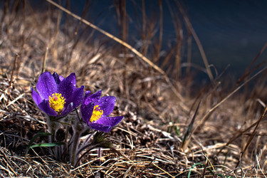 Similar image 8942198