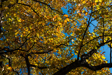 Similar image 8942203