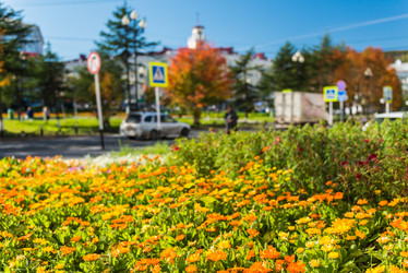 Similar image 8942238