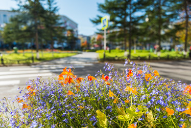 Similar image 8942240