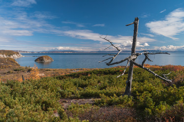 Similar image 8942252