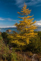 Similar image 8942257