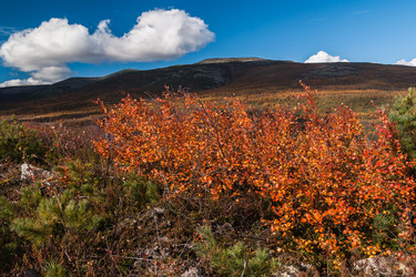 Similar image 8942259