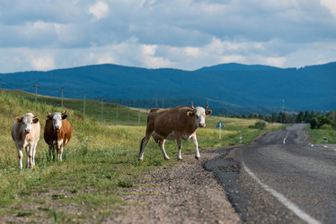 Similar image 8942268