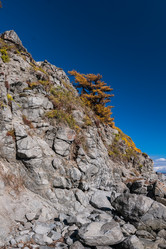 Similar image 8942272