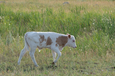 Similar image 8942279