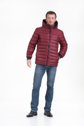 Similar image 8942501