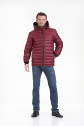 Similar image 8942503