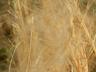 Similar image 8942755