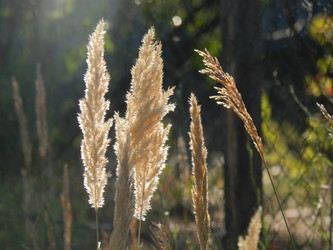 Similar image 8942759