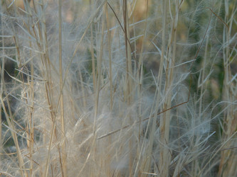 Similar image 8942761