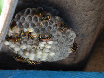 Similar image 8942910