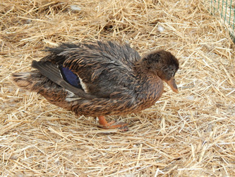 Similar image 8942914