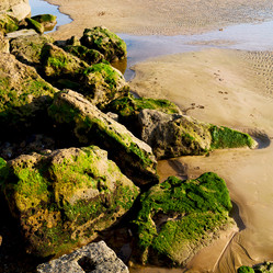 Similar image 8943066