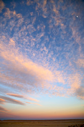 Similar image 8943254