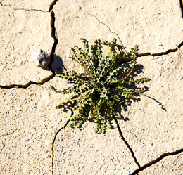 Similar image 8943260