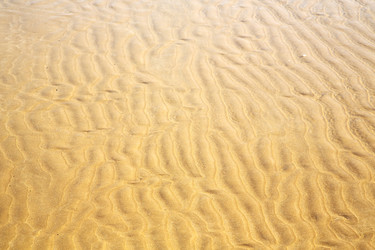 Similar image 8943974