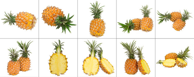 Similar image 8944038