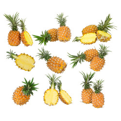 Similar image 8944228