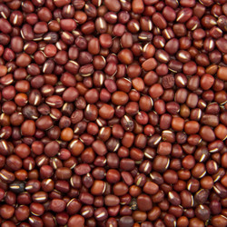 Similar image 8944244