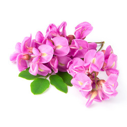 Similar image 8944516