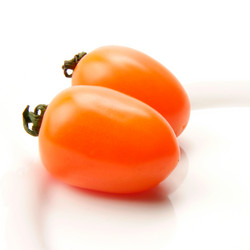 Similar image 8944542