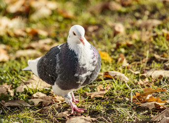 Similar image 8946146