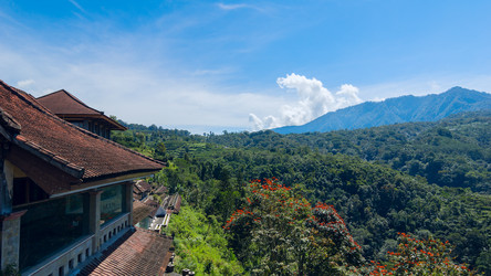 Similar image 8946150