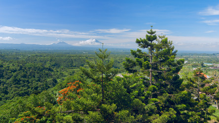 Similar image 8946168