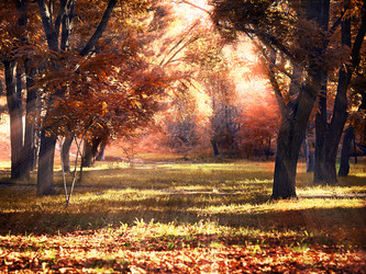 Similar image 8946176