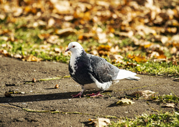 Similar image 8946546