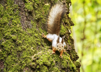 Similar image 8946553