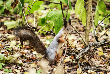 Similar image 8946555