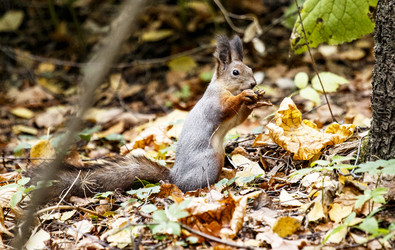 Similar image 8946557