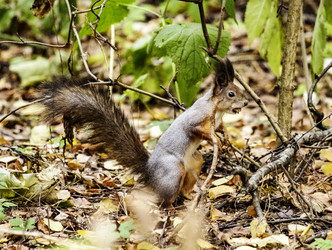 Similar image 8946559