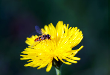 Similar image 8947025