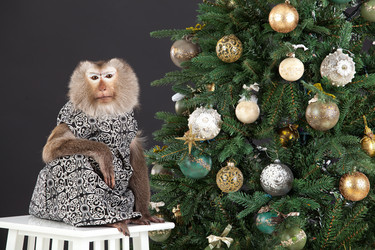 Similar image 8950897