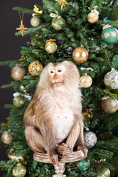 Similar image 8950912