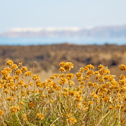 Similar image 8956649